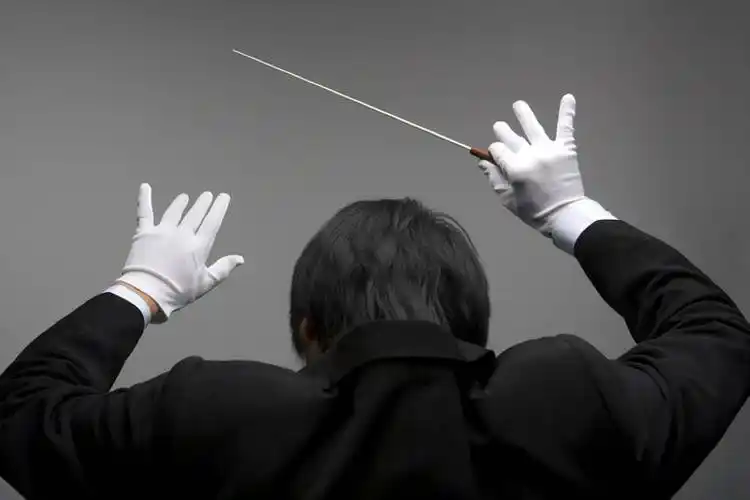 表演,握,服装,指挥棒,音乐,指挥,肩膀,扮演,背面,黑色,手势,托,握着