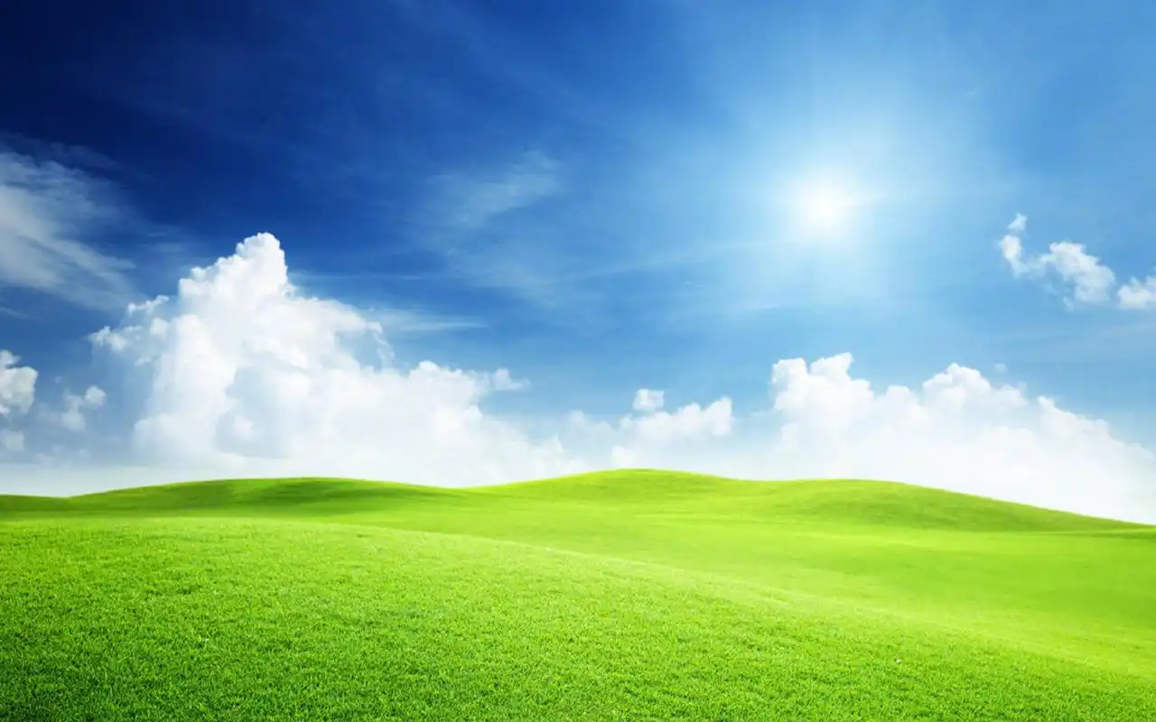 唯美护眼绿色风景图片桌面壁纸
