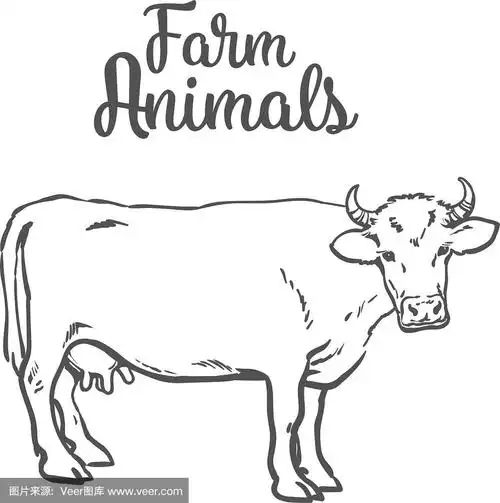 牛在素描风格的农场动物