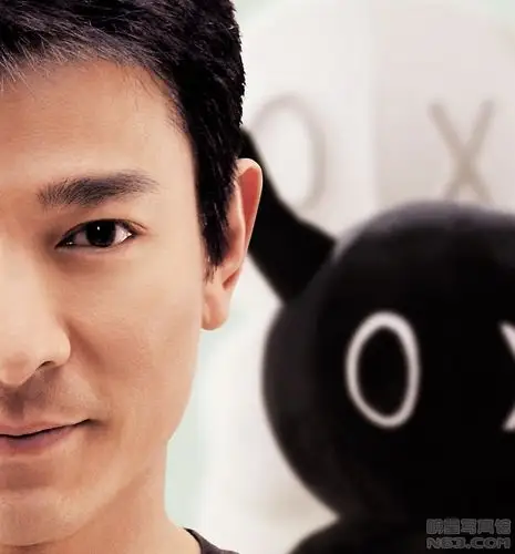 刘德华写真图片-自制480x320壁纸.高清大图-明星写真馆n63.com