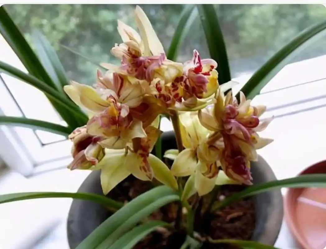 01  读过一段话:  人之所以活得累,不过是背负的