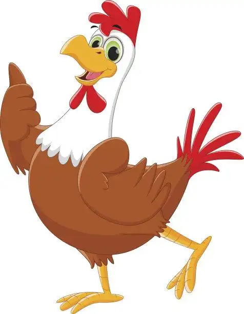 鸡,矢量,绘画插图,鸟类,动物身体部位正版矢量图素材下载