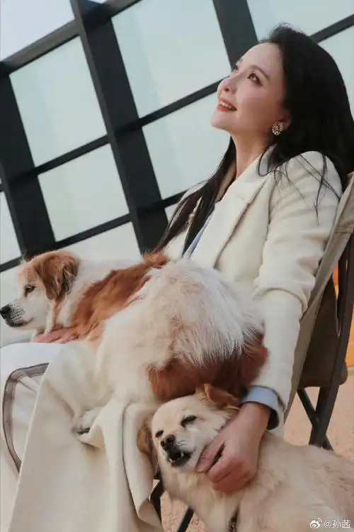 孙茜性格温柔的原因找到了