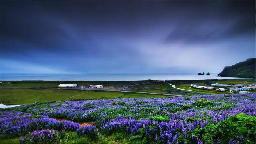 电脑桌面图片唯美(82张护眼电脑桌面壁纸)