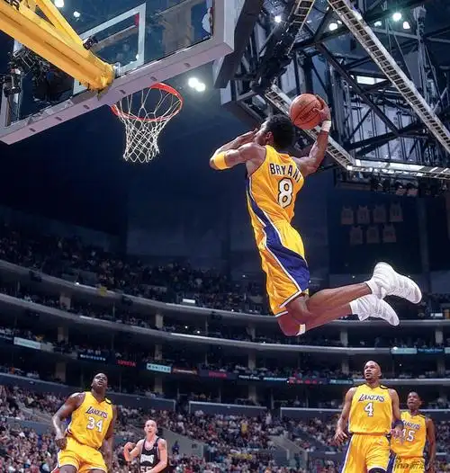 科比百大灌篮秀_高清图集_新浪网