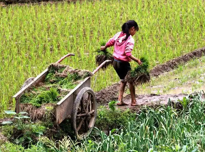 【百姓记事】——村里的儿童(三)