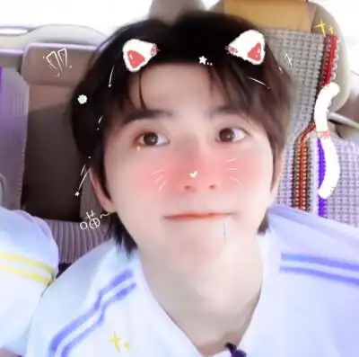 "小葵的世界可可爱爱"蔡徐坤头像|顾雨曦原截wb王俊浩vip 贴纸要上楼