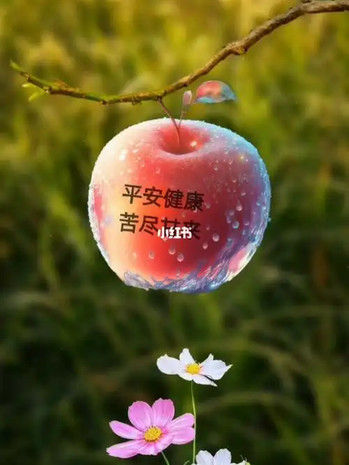 快快乐乐健健康康平平安安的过好每一天动态壁纸治愈素材