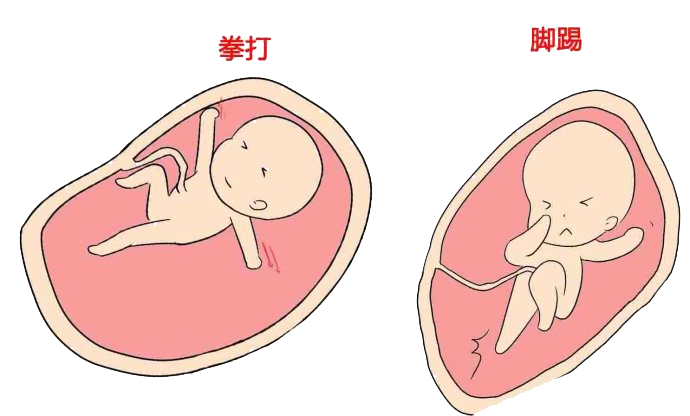 胎动是什么样的?什么时候开始数?