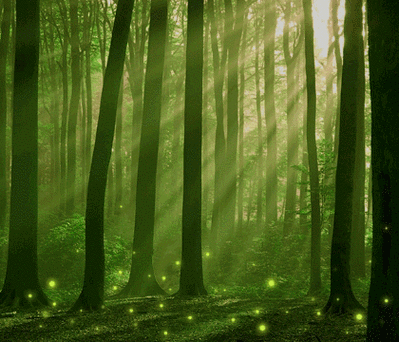 萤火虫[firefly]|ui|主题/皮肤|尹甄 - 原创作品 - 站酷 (zcool)