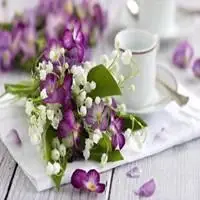 高雅书和花朵头像_微信头像图片大全