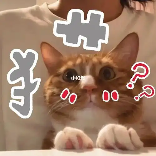 小橘表情包0662546309625505