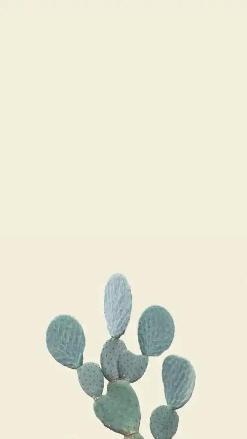 唯美小清新仙人掌,高清图片,手机锁屏桌面-壁纸族