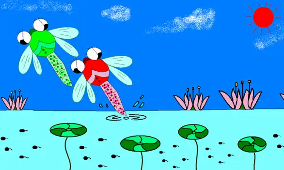 蜻蜓点水的故事