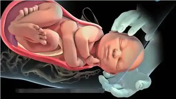 佩服!胎儿入盆什么感觉"促孕方法"-第1张图片-天福博客