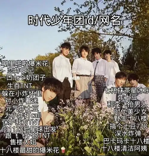 时代少年团粉丝网名