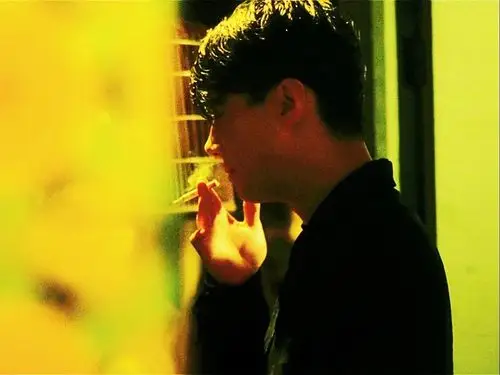 "堕落天使只要黎明"