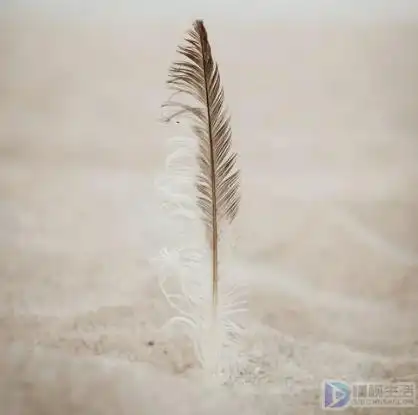 生活纵使一地鸡毛语录