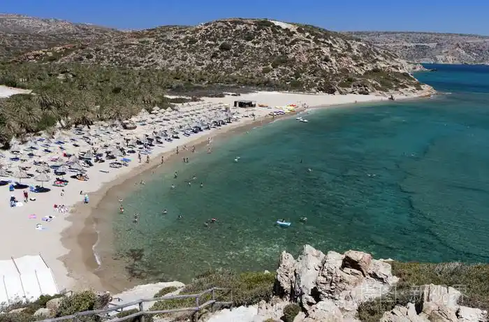 奥钢联 palmtrees 海湾和海滩在克里特岛的希腊小岛