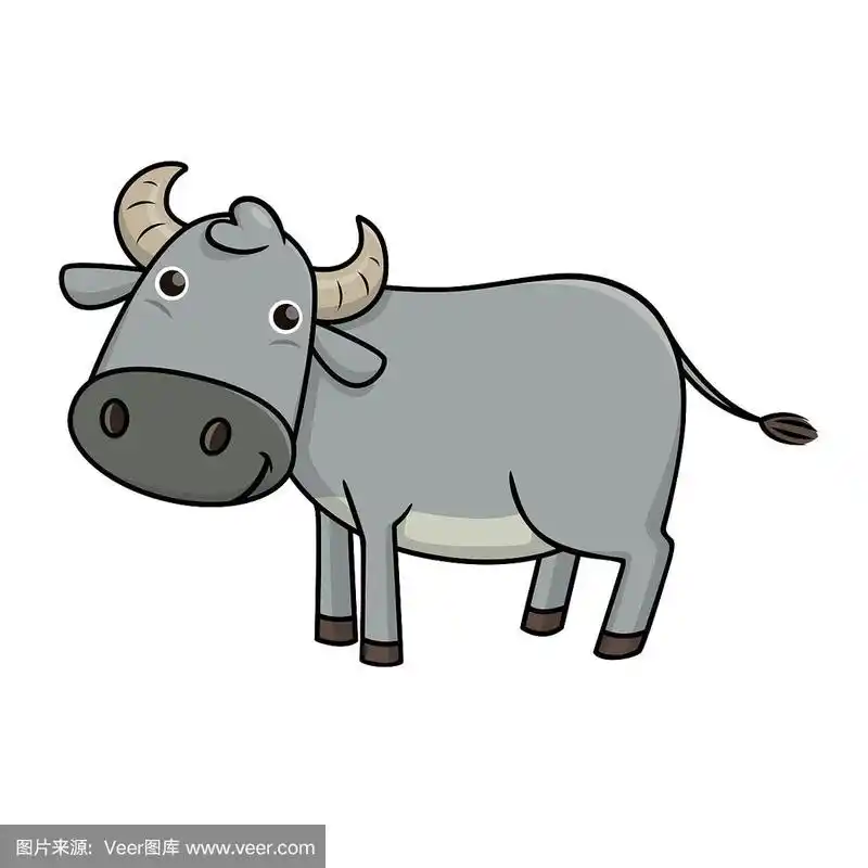 矢量插图水牛孤立在白色背景.