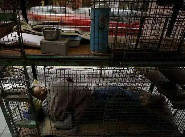 许多人看这部电影的原因是主角黄家驹,但许多人不能理解它.