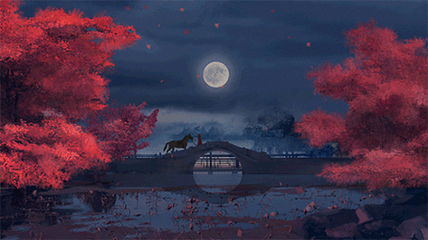 500_281gif 动态图 动图