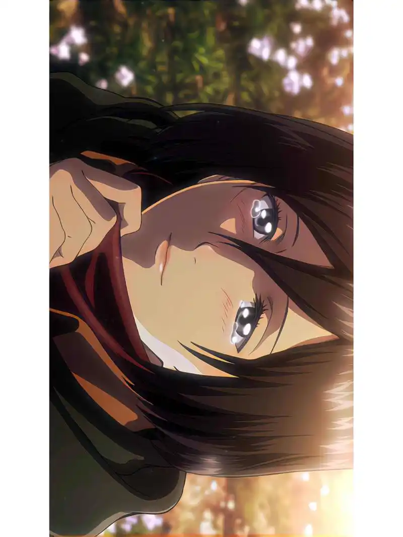 三笠壁纸 心脏撒撒开