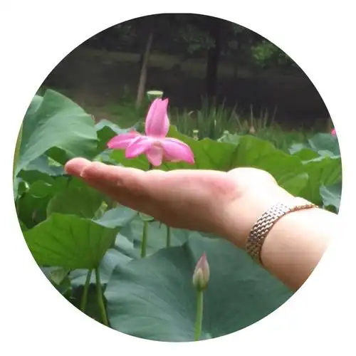 雨季奥森探花不一样的心情