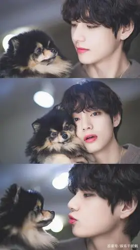 防弹少年团金泰亨,亚洲第一帅