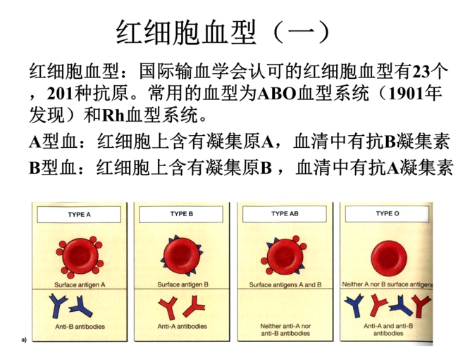 红细胞血型(一)-医学基础.ppt