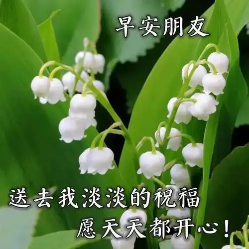 微信早安很漂亮的问候文字图片最新清晨祝福大家的早安句子