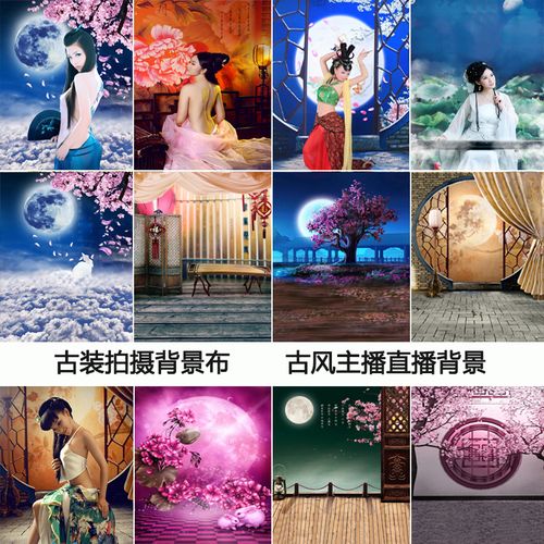 影楼中式古装拍摄背景古风主题写真网红古典舞蹈主播直播背景布