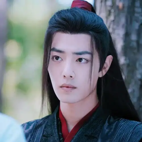 魏无羡/肖战×陈情令二传注明堆糖陈翊