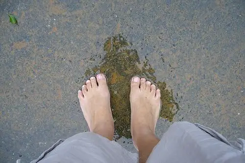 10 @ 我的赤脚旅行 my barefoot travel :: 痞客邦 pixnet