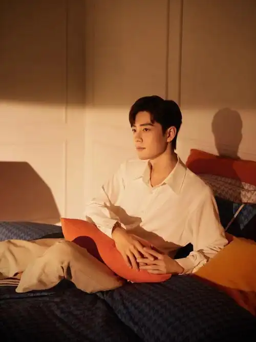 肖战梦洁床上用品