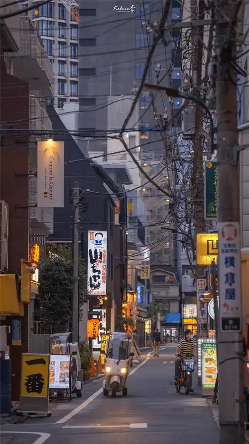 夜幕街道建筑风景手机壁纸_风景_手机壁纸下载_美桌网