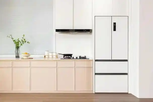 换了3次冰箱我懂了冰箱一定记住5不买花上万元买来的教训