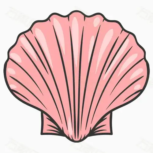 手绘贝壳图片免费下载_卡通手绘_万素网