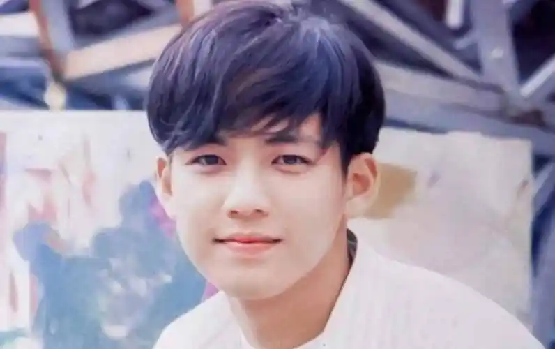 年轻时的钟汉良五官并没有现在这么立体,相反还有点婴儿肥,但是他的