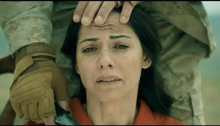 山2 -- 凭圣母婊的理想就可以拿满分?