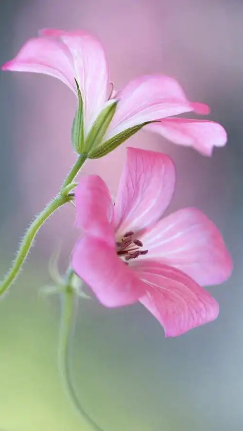 1600_2843竖版 竖屏