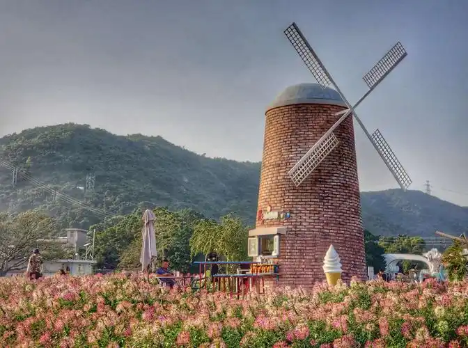 深圳玫瑰海岸游记