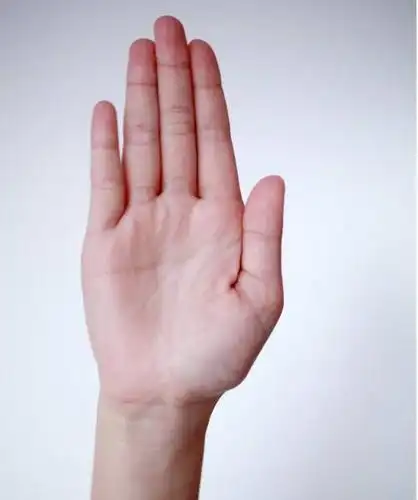 伸出你的右手看看你的五根手指头哪一个是你觉得最满意的