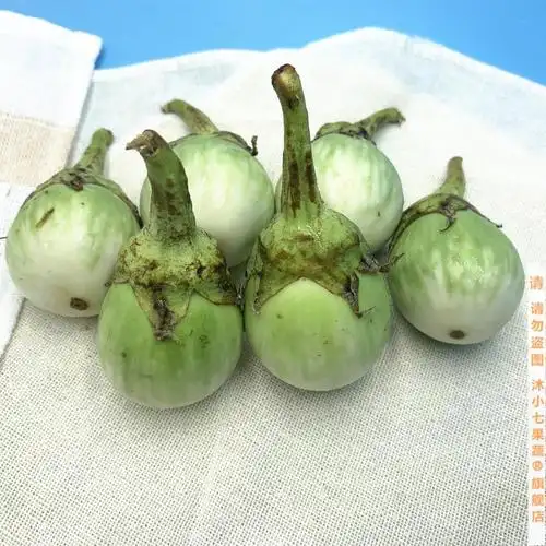 泰国品种圆茄沙拉茄子大圆茄泰国茄子绿咖喱配料小茄子500g【图片