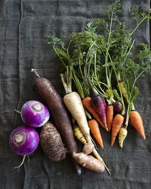 各种根茎类蔬菜图片