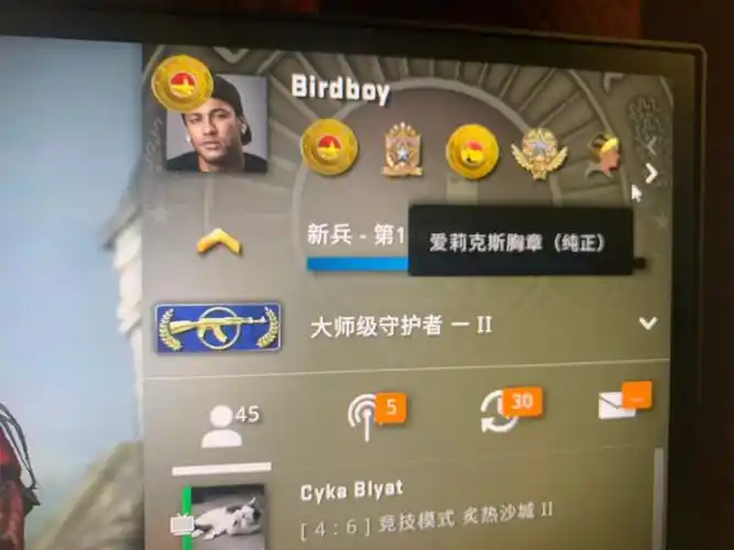 黄金一直接升到ak2csgo的段位机制太迷了