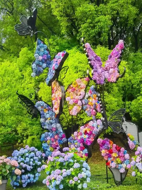 梦幻泡泡森林,绚丽八仙花展,绿荫下的清凉……都在上海这个免费公园!