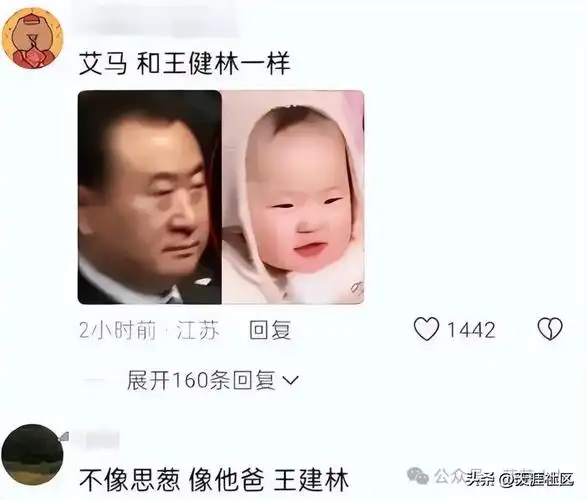 还有网友细心的把王健林和孩子的照片做了对比,替王总做了dna眼睛