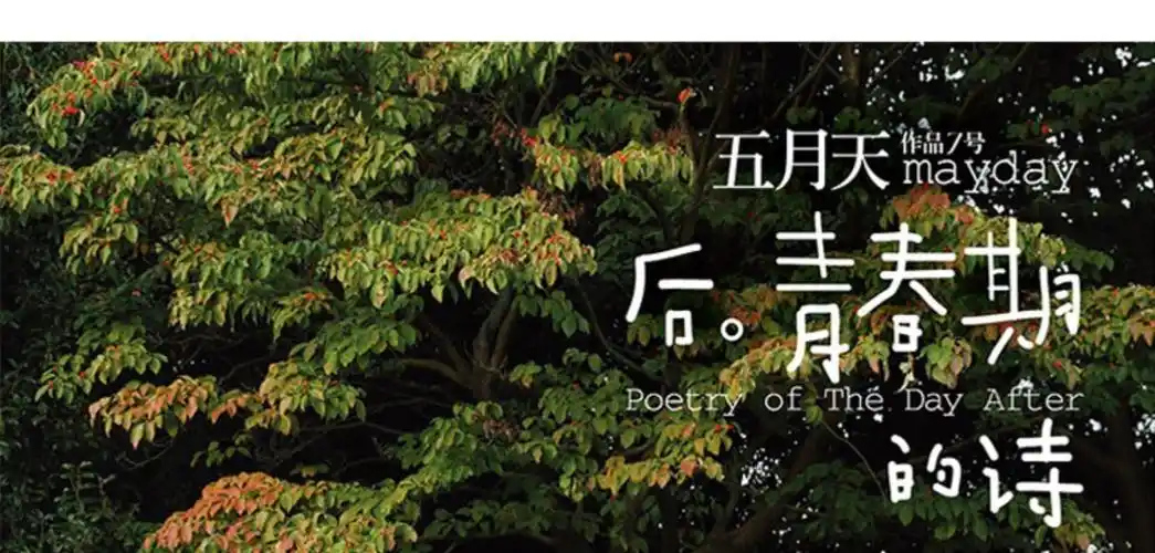 后青春期的诗歌词-五月天后青春的诗歌词