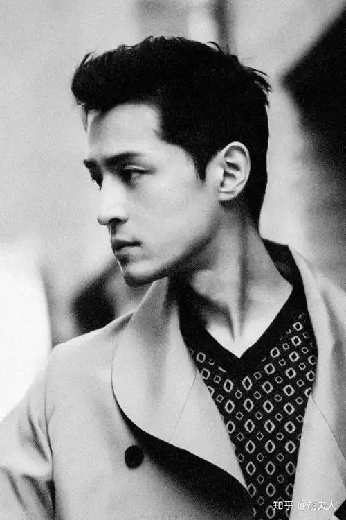 胡歌高新壁纸黑白系列可以分享一二吗